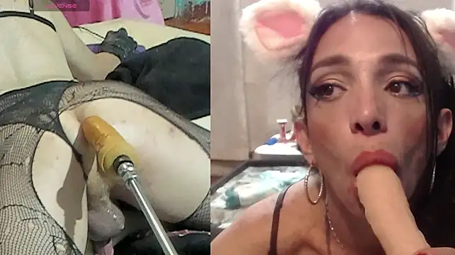 Webkamerová show Alondra_dominatrix