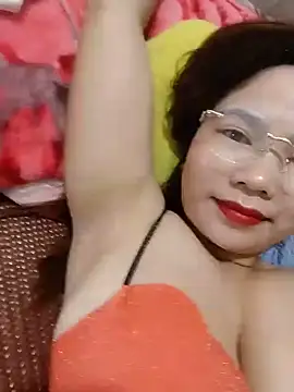 Dan-chi Show Webcam