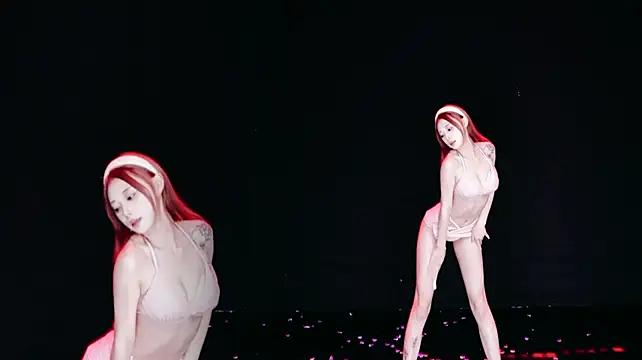 SeekLgt-001 网络视讯表演
