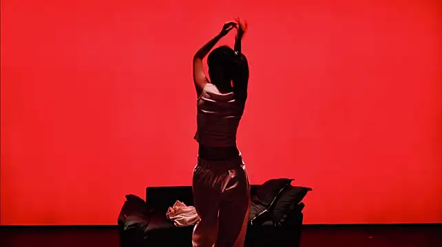 SeekLgt-001 – Kamerová šou