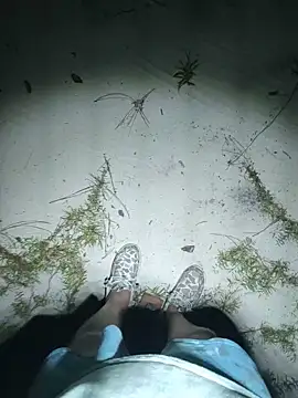 BigB081485n Webbikameraesitys