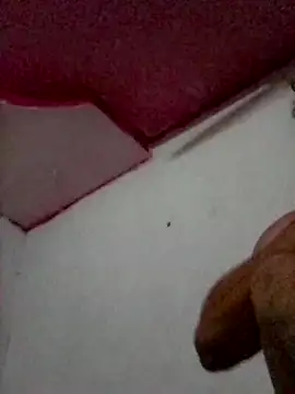 pajaroamBle Webcam show