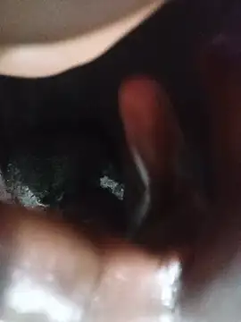 SWNTMB03 Webcam-Show