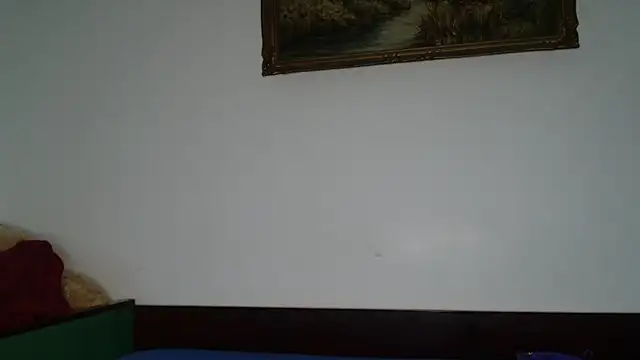 Mobidick50 Show Webcam