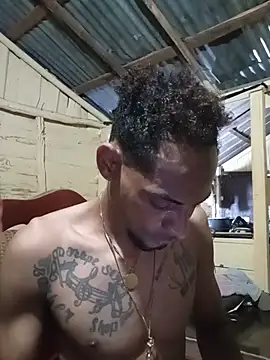 Show de webcam de liryw250