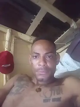 Show de webcam de liryw250