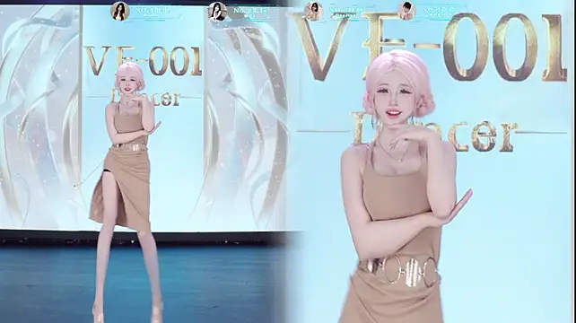 VE-001 网络视讯表演