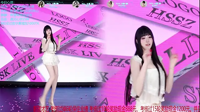 VE-001 Show Webcam