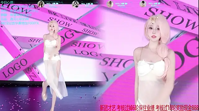 VE-001 Webcam-Show