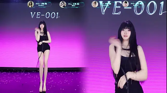 Show modela VE-001 na web-kameri