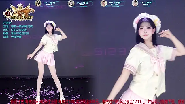 VE-001 网络视讯表演