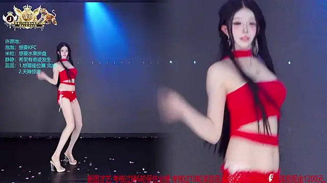 VE-001 Webcam-Show