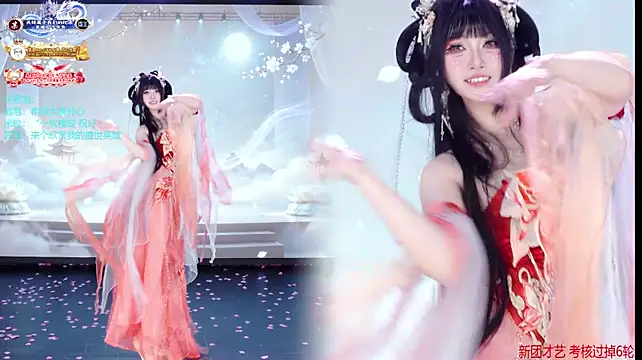 VE-001 网络视讯表演