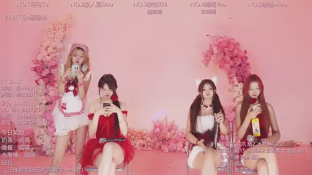 CJL-101 网络视讯表演