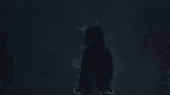 CJL-101 Шоу с уебкамера
