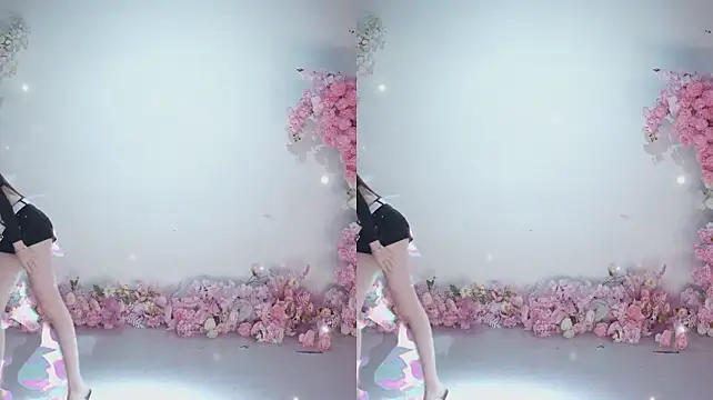 عرض كام CJL-101