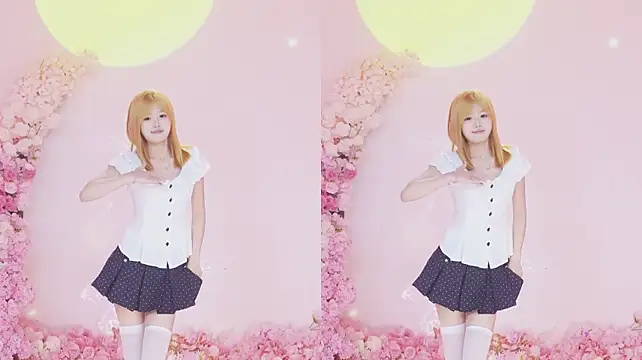 CJL-101 网络视讯表演