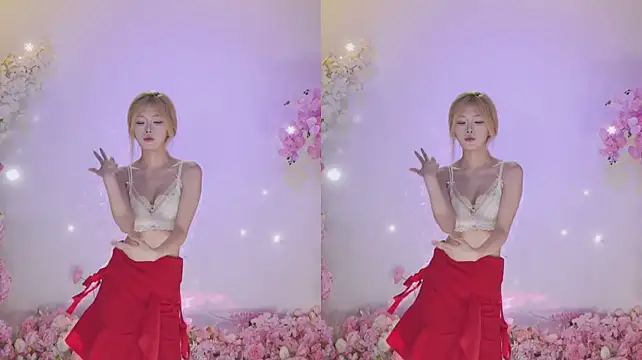 CJL-101 网络视讯表演