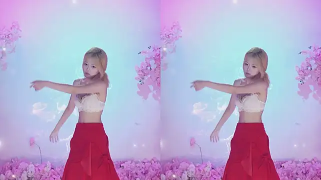 CJL-101 网络视讯表演