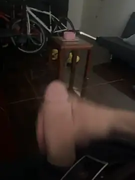 Pertunjukan Kamera Web Stifler690