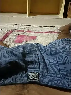 manjutelugun Webbikameraesitys