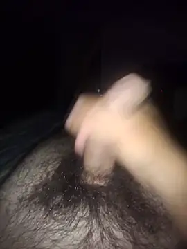 Show de Pauzudopeludo na webcam