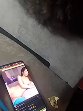 OLICHAN0000 Show in webcam