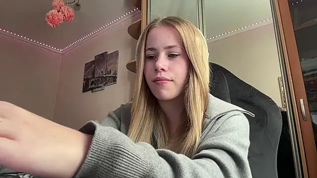Aurorain webcam show