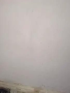frank632's Live XXX Chat