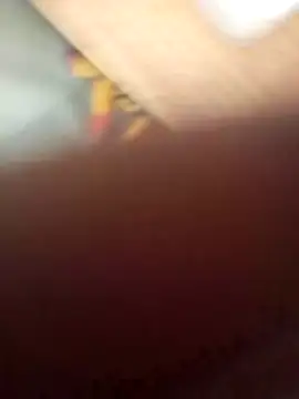 Show webcam de model-011