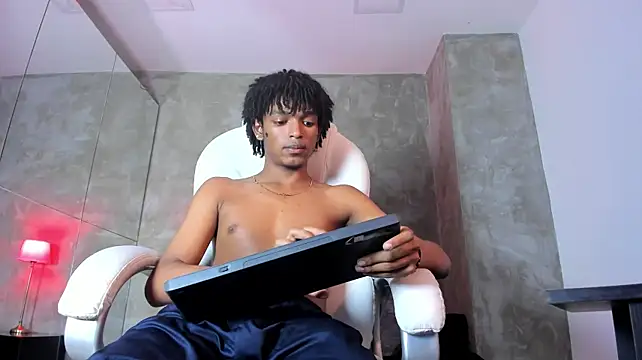 Raymond_steeln Webbikameraesitys