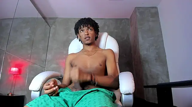 Raymond_steeln Webbikameraesitys