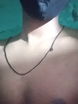 Im_bottom Show Webcam