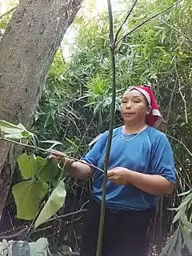 tran-trang 网络视讯表演
