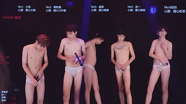 Show webcam de AOA-SKY
