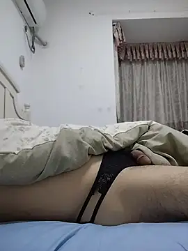 tule886 网络视讯表演