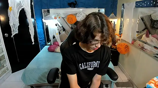 Jav_Frankn Webbikameraesitys