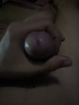 anhll Show Webcam