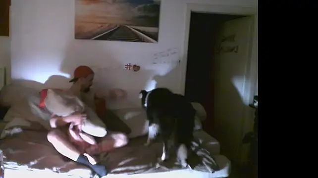 B-A-M-B-I Webcam-Show