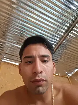Show modela DeepenedYielder na web-kameri