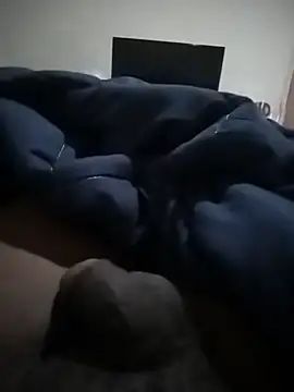 hornytray Webcamshow