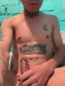 VatoSatiro webcam show
