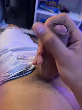 Stibenhotboyn Webbikameraesitys