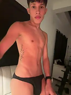 Stibenhotboy: διαδικτυακό σόου στην κάμερα