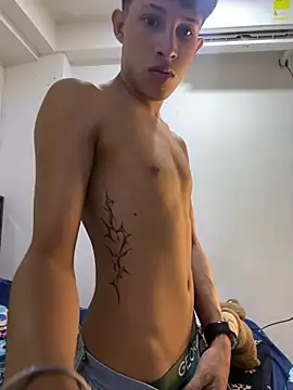 Stibenhotboy's Webcam Show