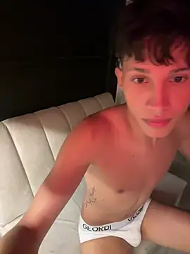 Stibenhotboyn Webbikameraesitys