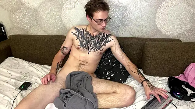 ErnestTarlet Webcam-Show