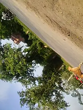 raju880810 Pertunjukan Webcam