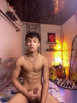 Twinkyecho 网络视讯表演