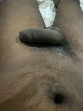 dhhq Show Webcam